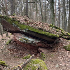 23-03-05 11-04-08 4741